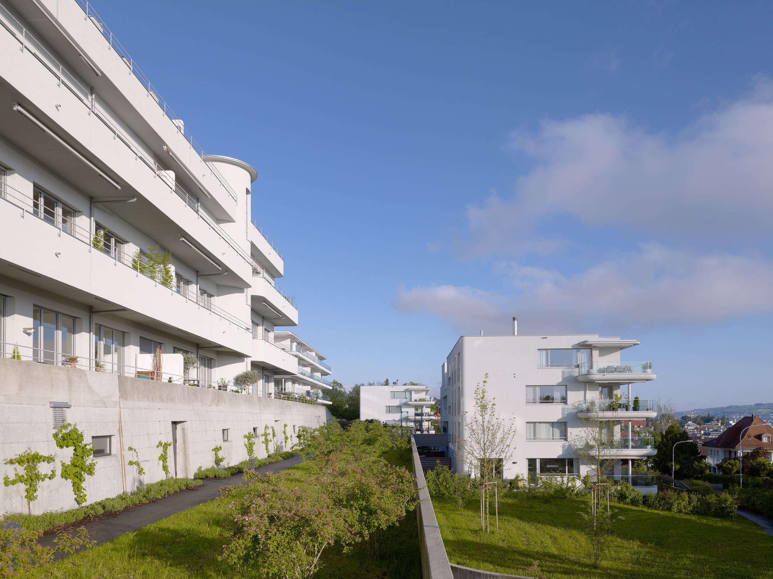 E11352 Alpa 034955 j2560